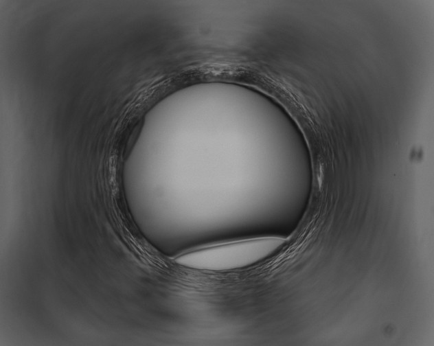 X0000101951396200807171122
