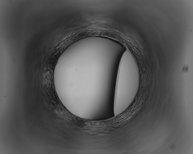 X0000101951397200807171122
