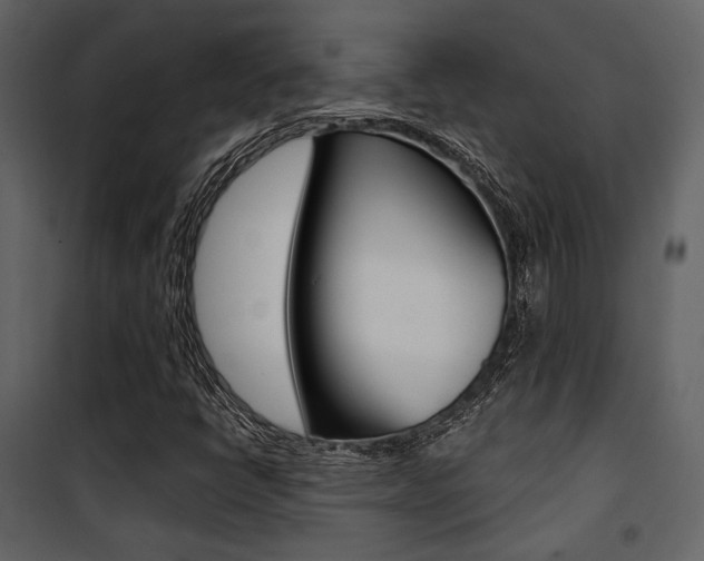X0000101951398200807171122