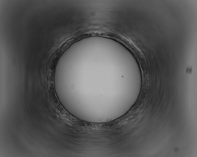 X0000101951399200807171122