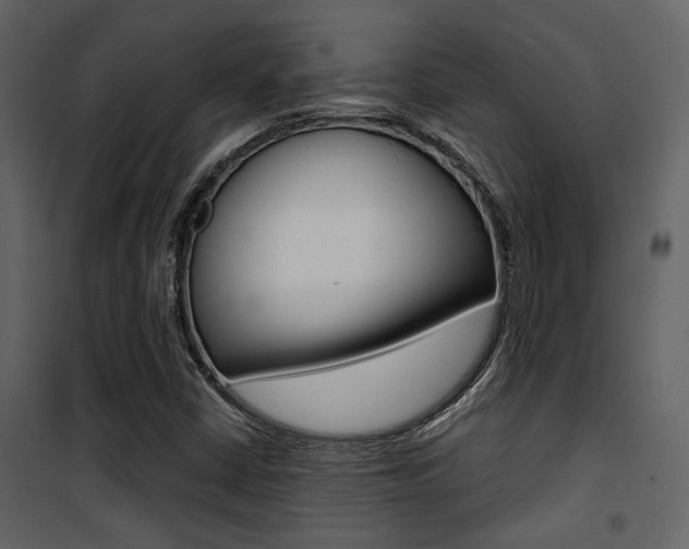 X0000101951402200807171122