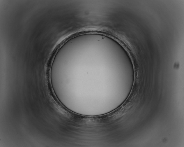 X0000101951404200807171122