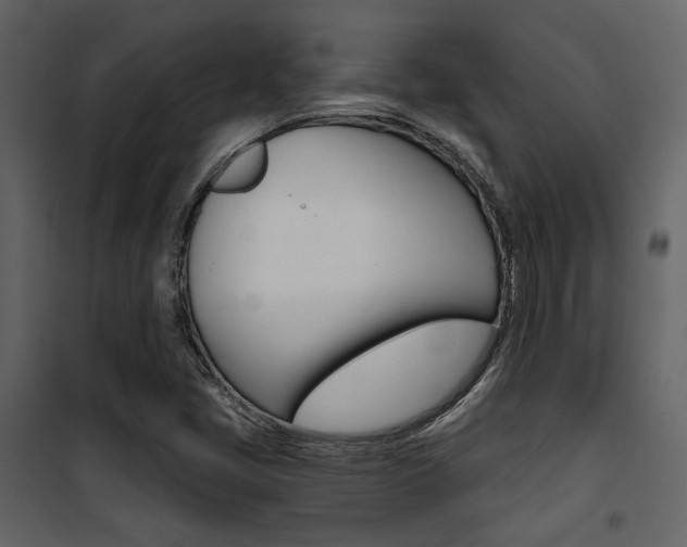 X0000101951405200807171122