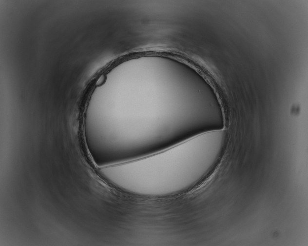 X0000101951406200807171122