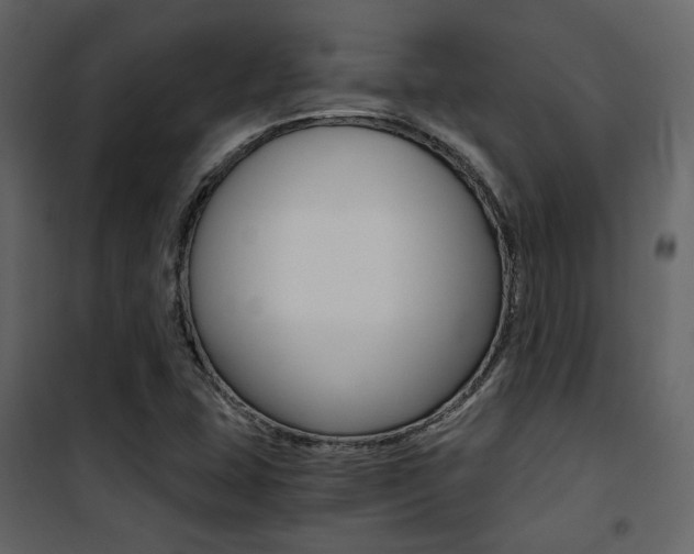 X0000101951407200807171122
