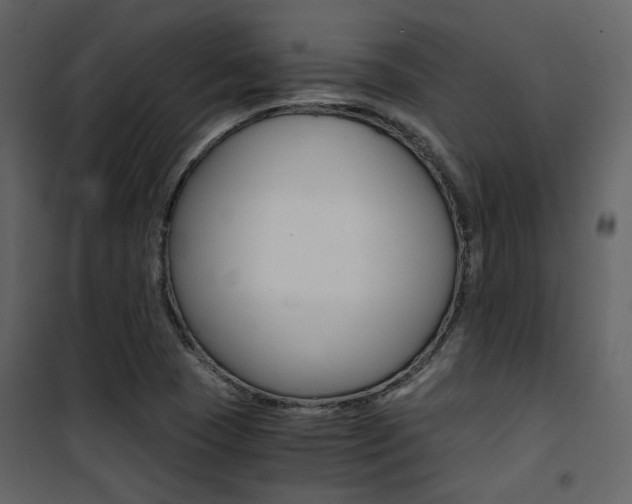 X0000101951409200807171122
