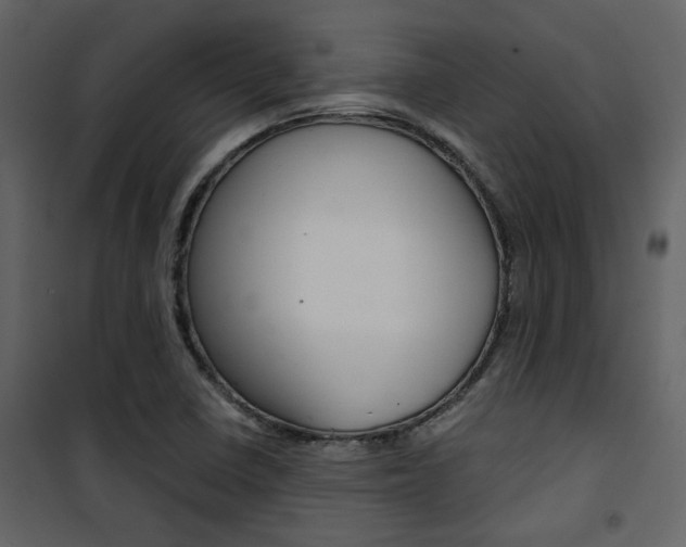 X0000101951410200807171122