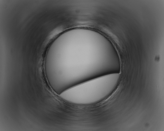 X0000101951411200807171122