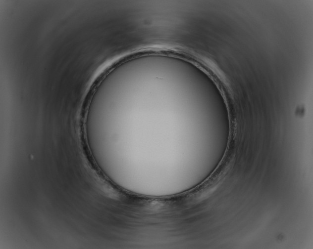 X0000101951412200807171122