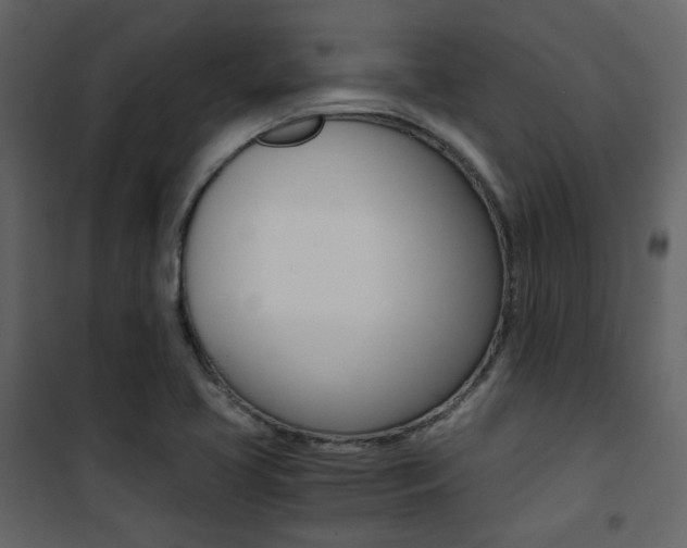 X0000101951413200807171122