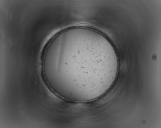 X0000101951414200807171122