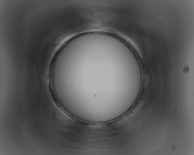 X0000101951415200807171122