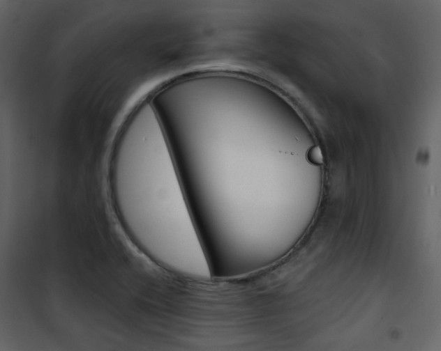 X0000101951416200807171122