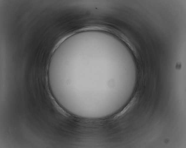X0000101951417200807171122