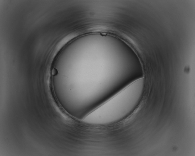 X0000101951418200807171122