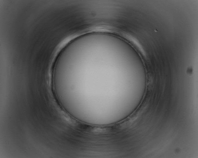 X0000101951419200807171122
