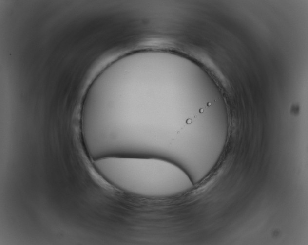 X0000101951421200807171122