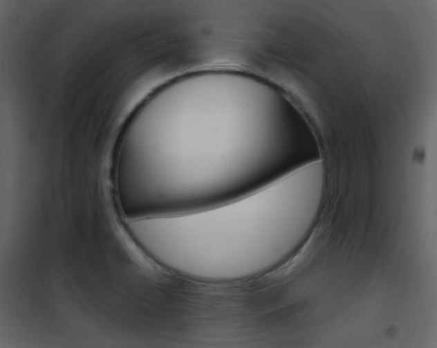 X0000101951422200807171122