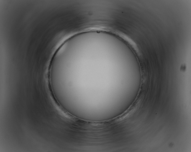 X0000101951423200807171122