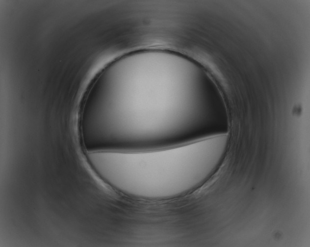X0000101951424200807171122
