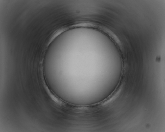 X0000101951425200807171123