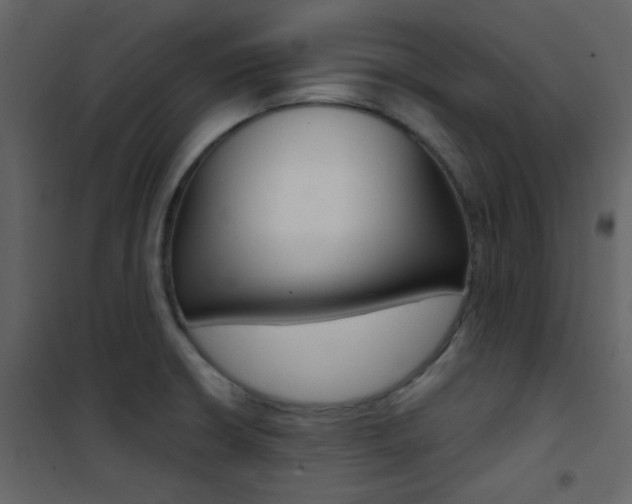 X0000101951426200807171123