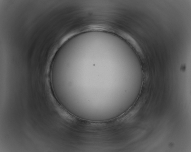 X0000101951427200807171123