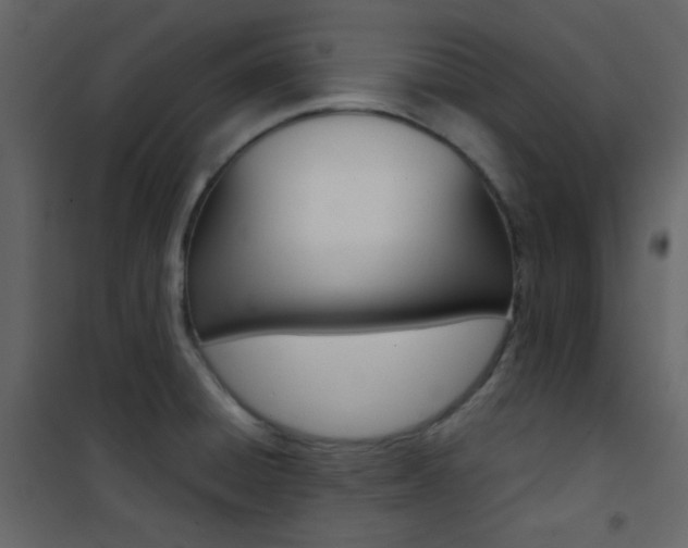 X0000101951428200807171123