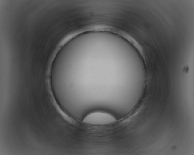 X0000101951429200807171123