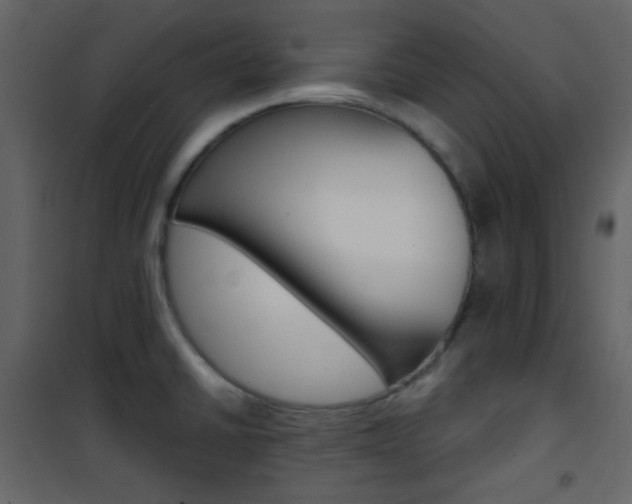 X0000101951430200807171123