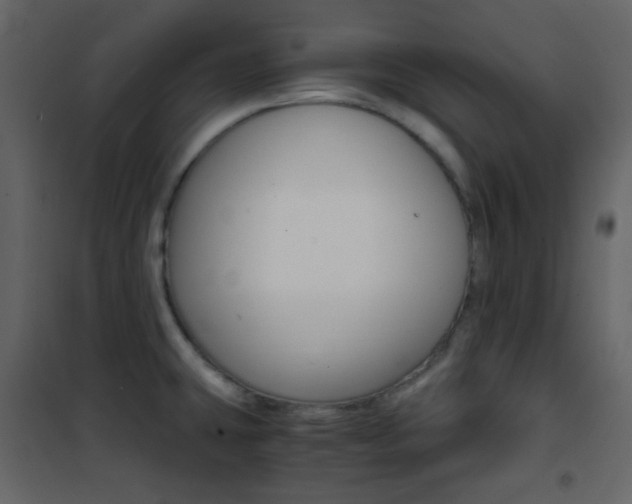 X0000101951431200807171123