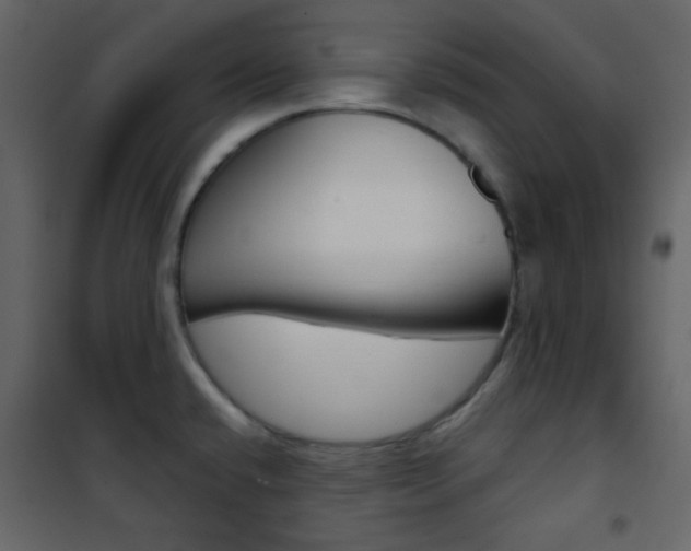 X0000101951432200807171123