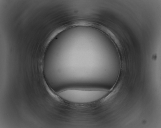 X0000101951433200807171123