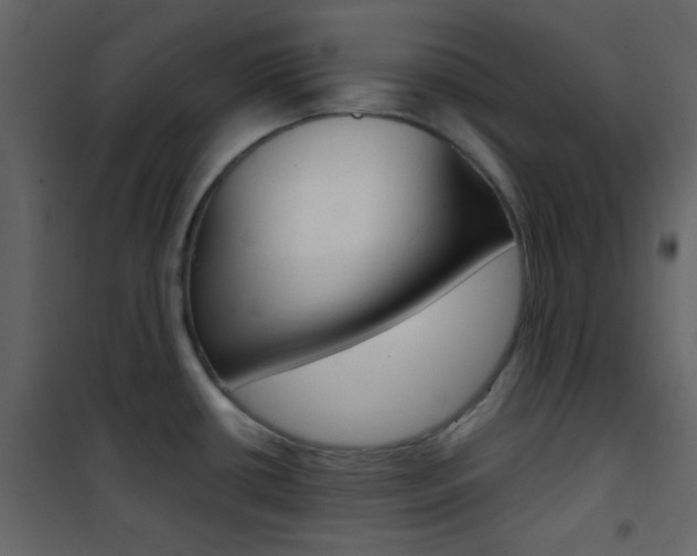 X0000101951434200807171123