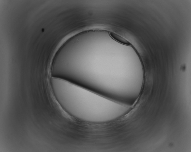 X0000101951436200807171123