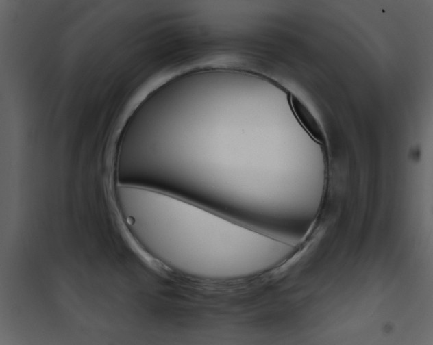 X0000101951437200807171123