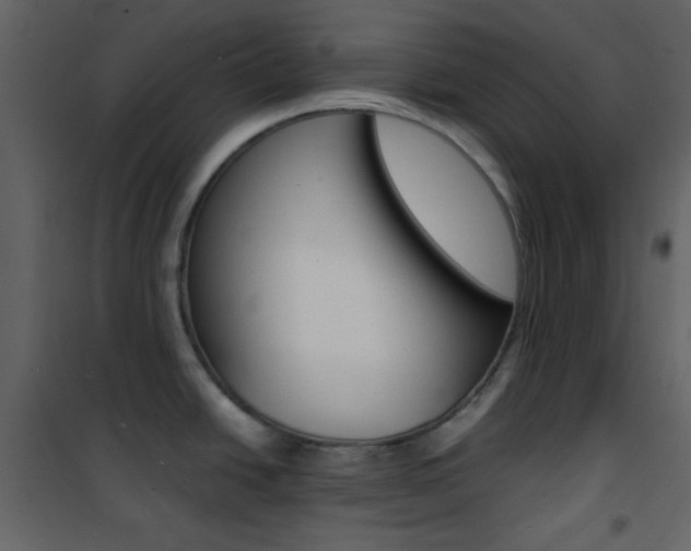 X0000101951438200807171123