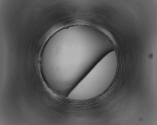 X0000101951439200807171123