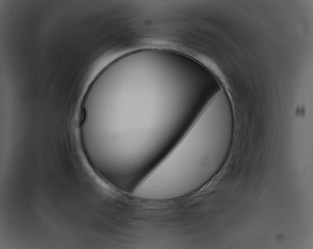 X0000101951440200807171123