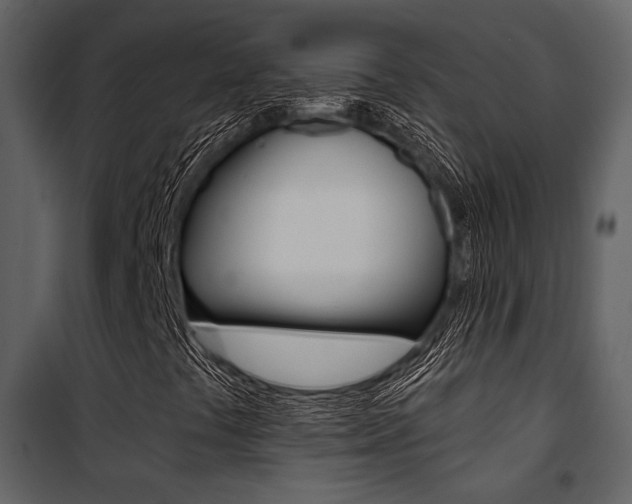 X0000101951441200807171122