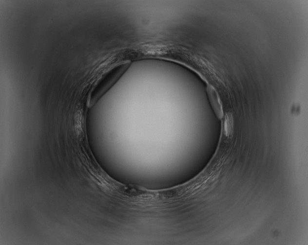 X0000101951444200807171122
