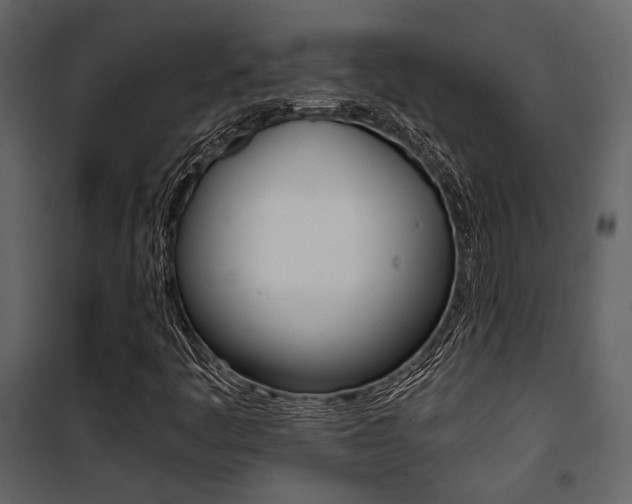 X0000101951445200807171122