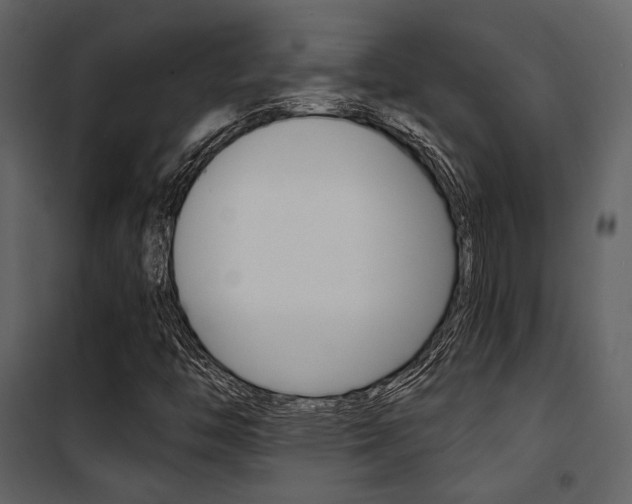 X0000101951446200807171122