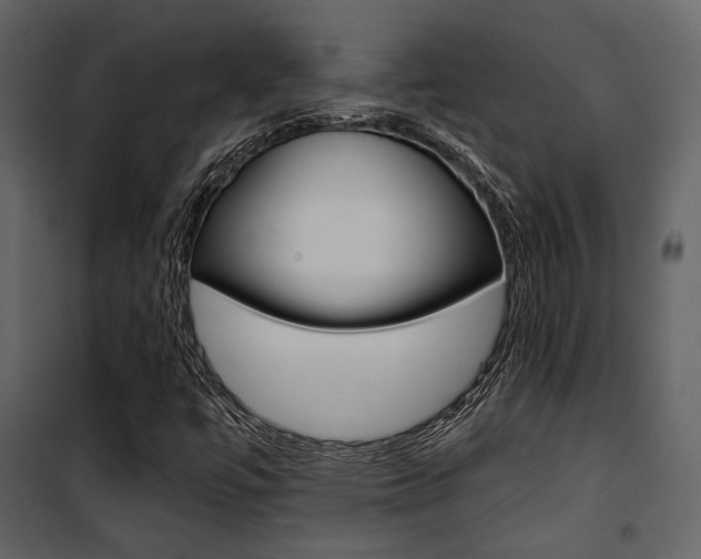 X0000101951447200807171122