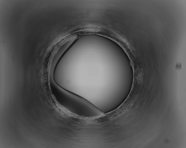 X0000101951448200807171122