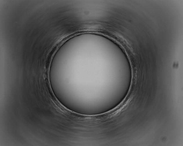 X0000101951449200807171122