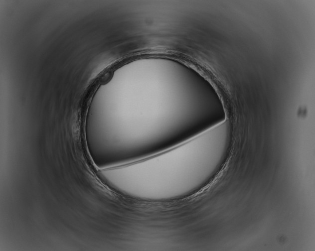 X0000101951450200807171122