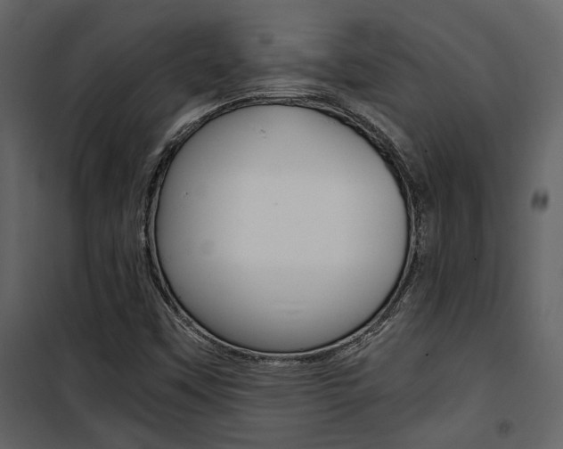 X0000101951451200807171122