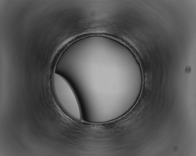 X0000101951452200807171122