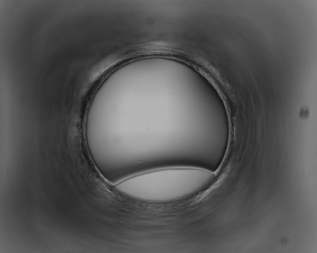 X0000101951453200807171122